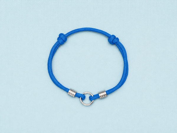 Colonial Blue House Collar