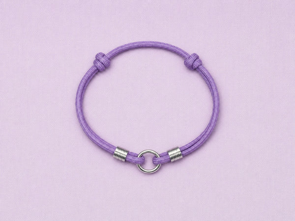 Lilac House Collar on light purple background