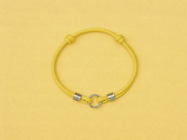 Yellow house collar on yellow background